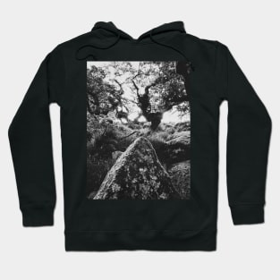 Whistman's Wood in Black and White Hoodie